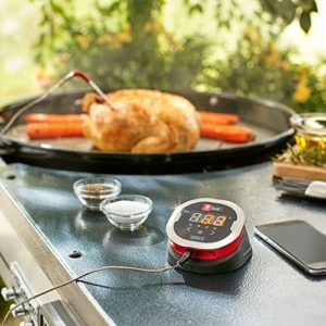 Weber IGrill 2 App Thermometer